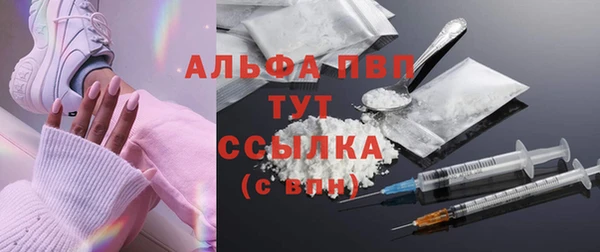 прущие крисы Инсар
