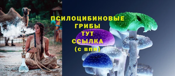 прущие крисы Инсар