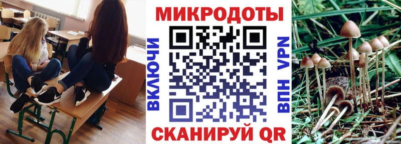 Галлюциногенные грибы MAGIC MUSHROOMS  Купить  Пикалёво 